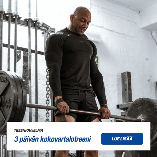 Treeniohjelma - 3 p�iv�n kokovartalotreeni, lue lis��